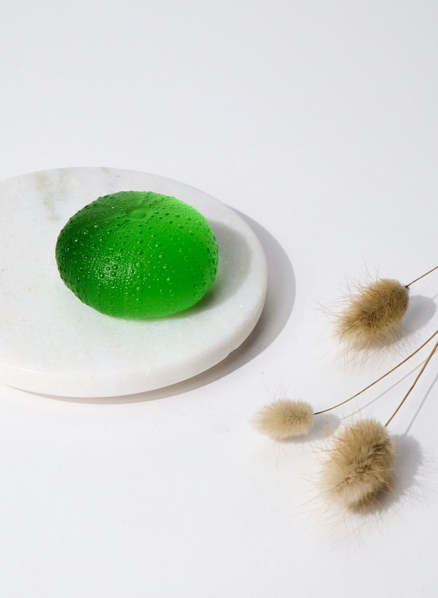 XLarge Sea Urchin - Lime