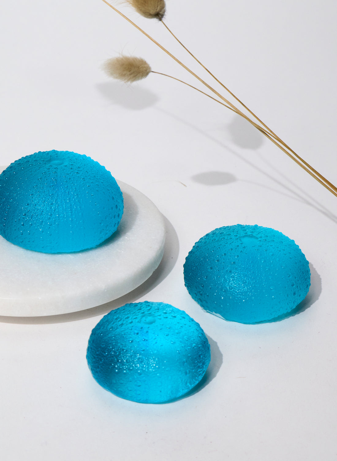 XXLarge Sea Urchin - Brilliant Copper