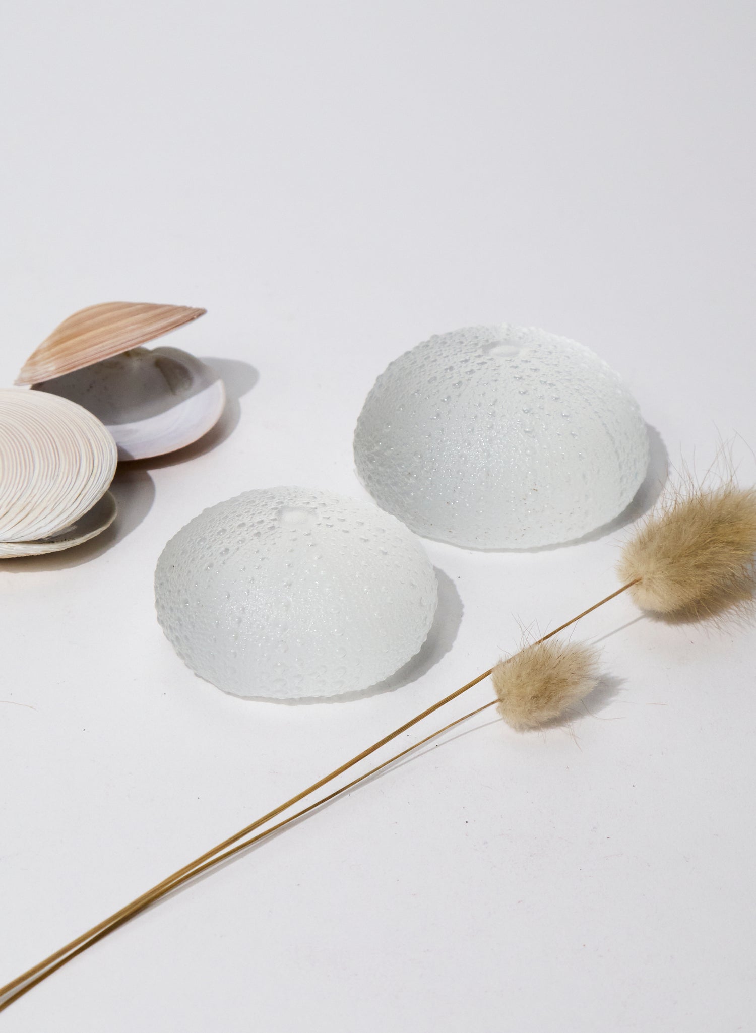 XLarge Sea Urchin - Clear