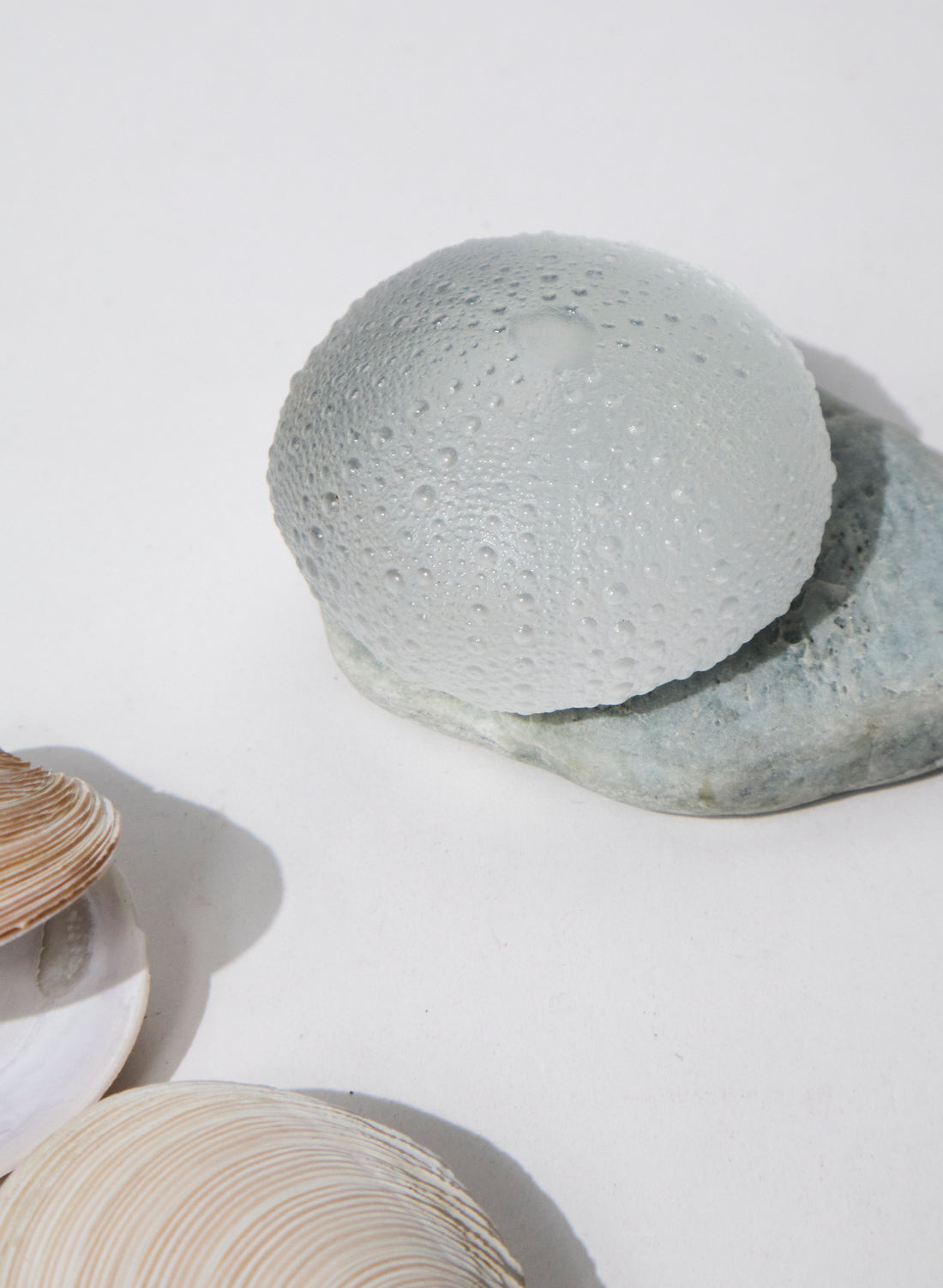 XLarge Sea Urchin - Clear
