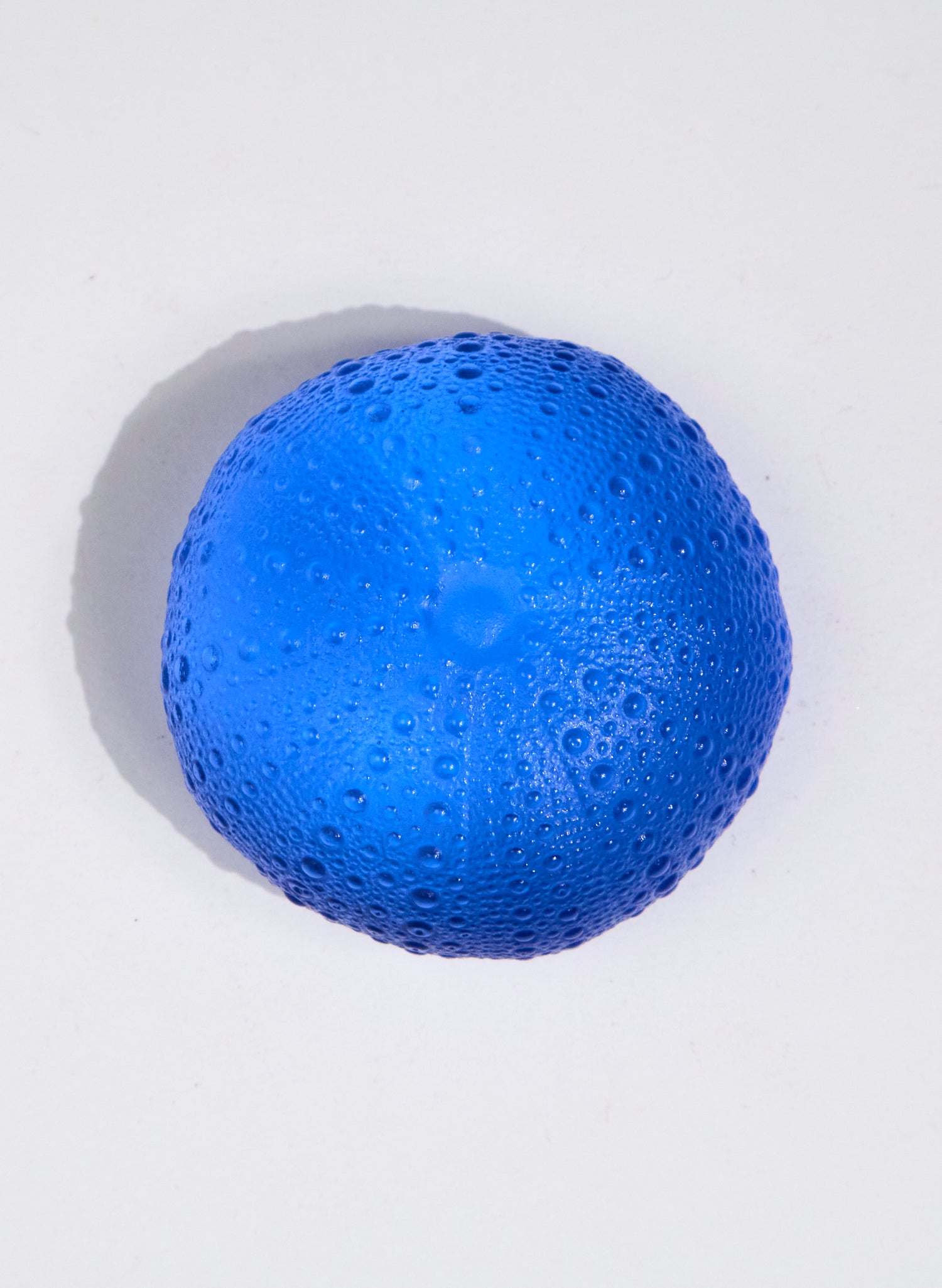 XLarge Sea Urchin - Light Cobalt