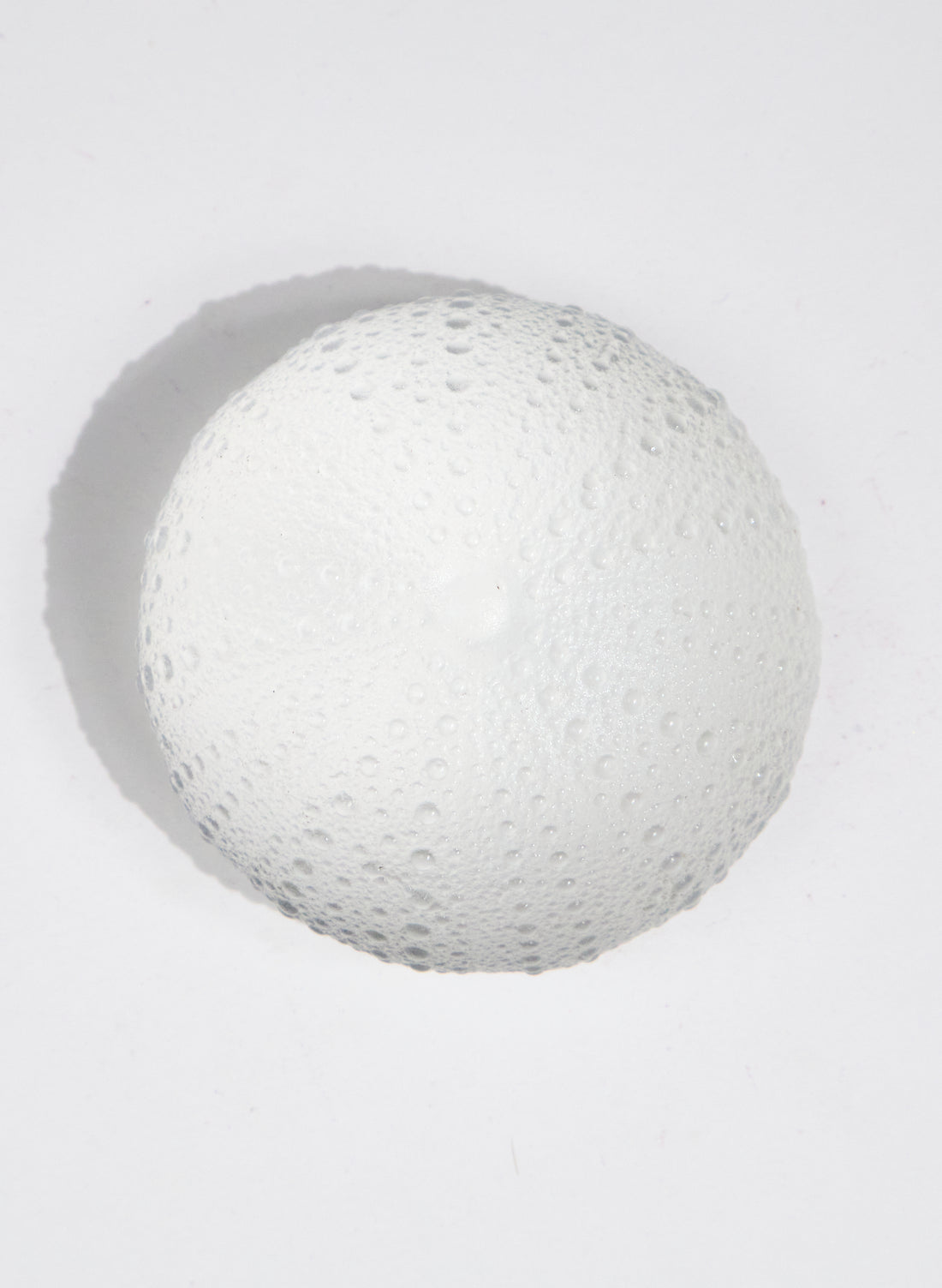 XLarge Sea Urchin - Clear