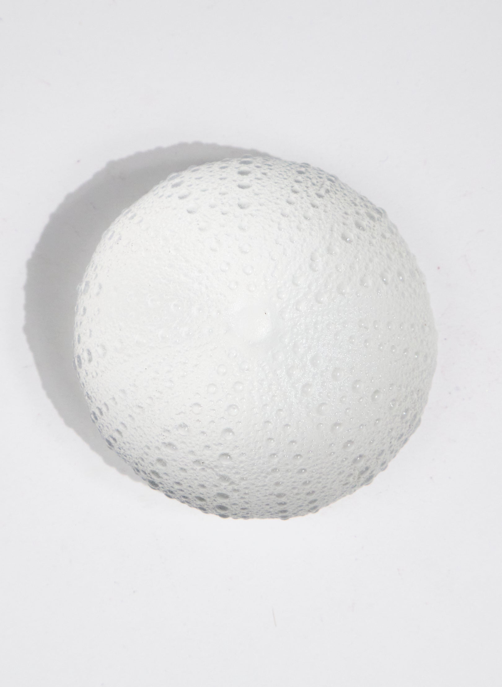 XLarge Sea Urchin - Clear