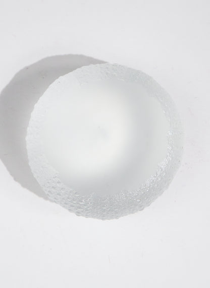 XLarge Sea Urchin - Clear