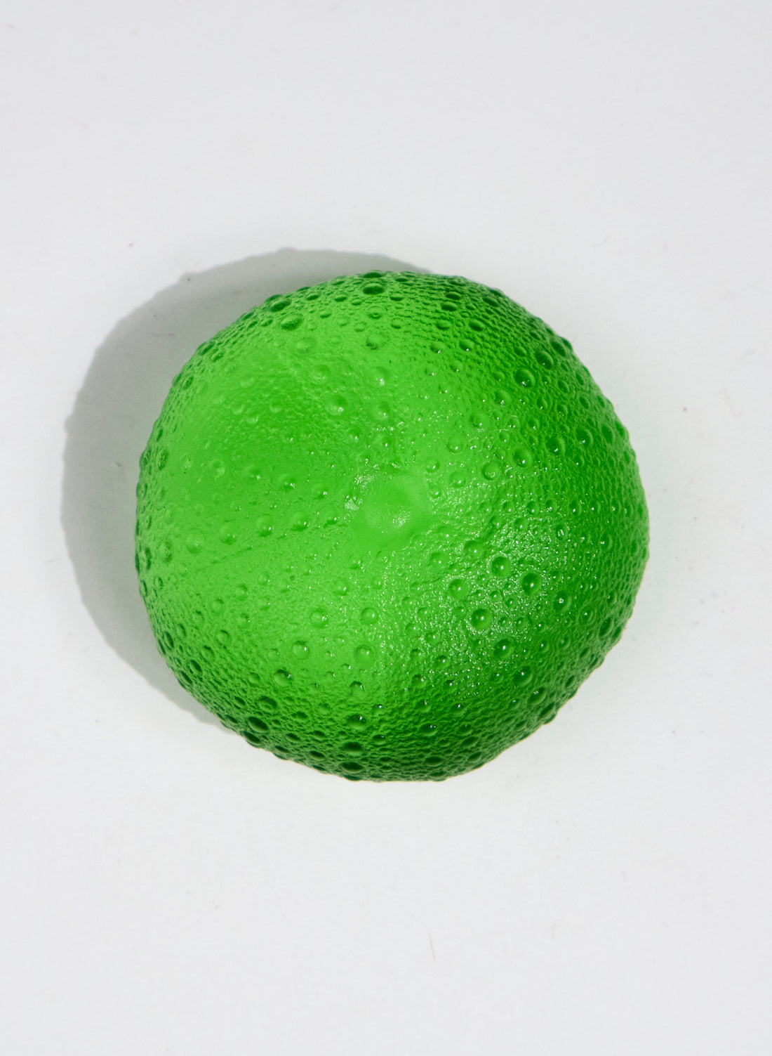 XLarge Sea Urchin - Lime