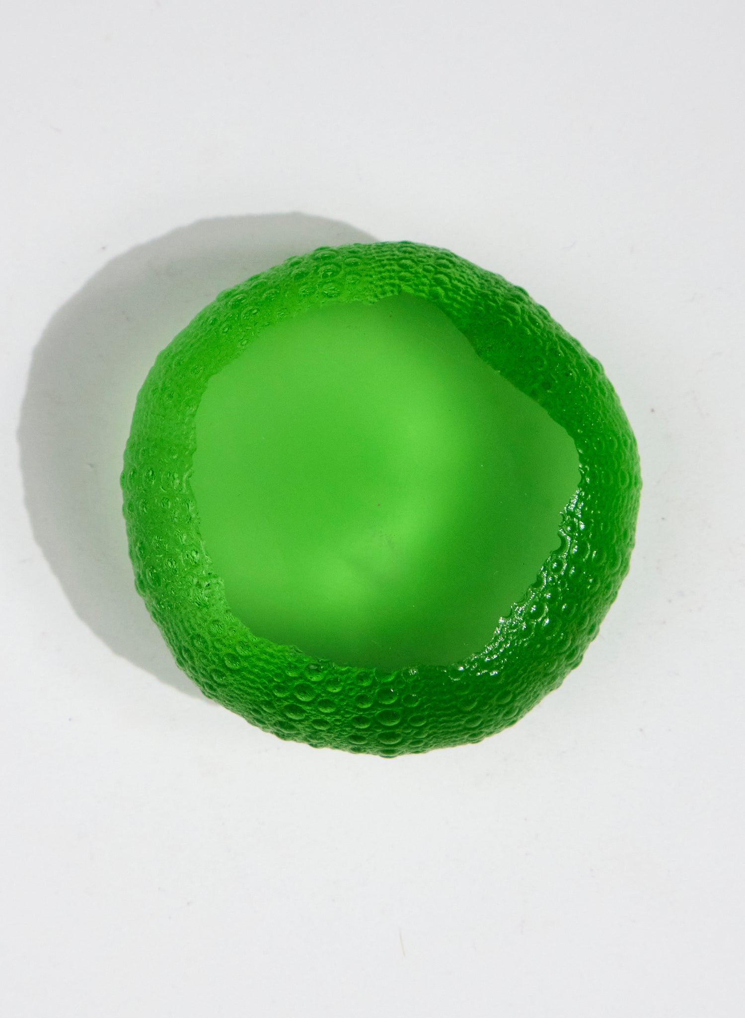 XLarge Sea Urchin - Lime