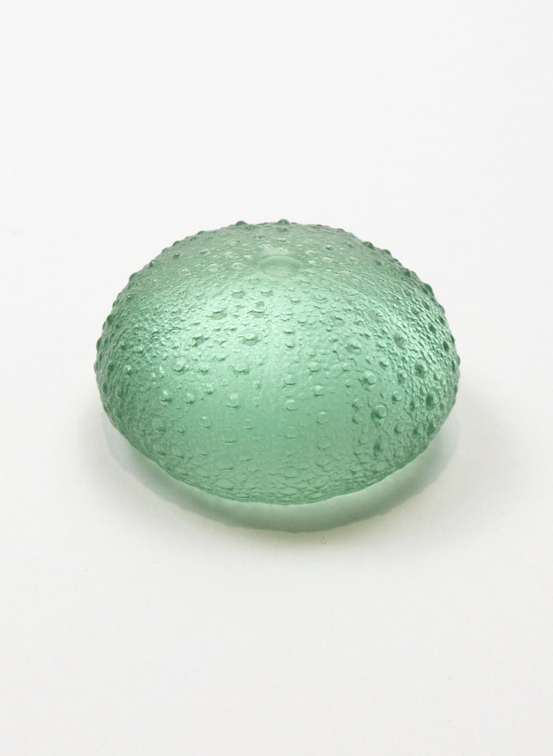 Medium Sea Urchin - Pale Jade