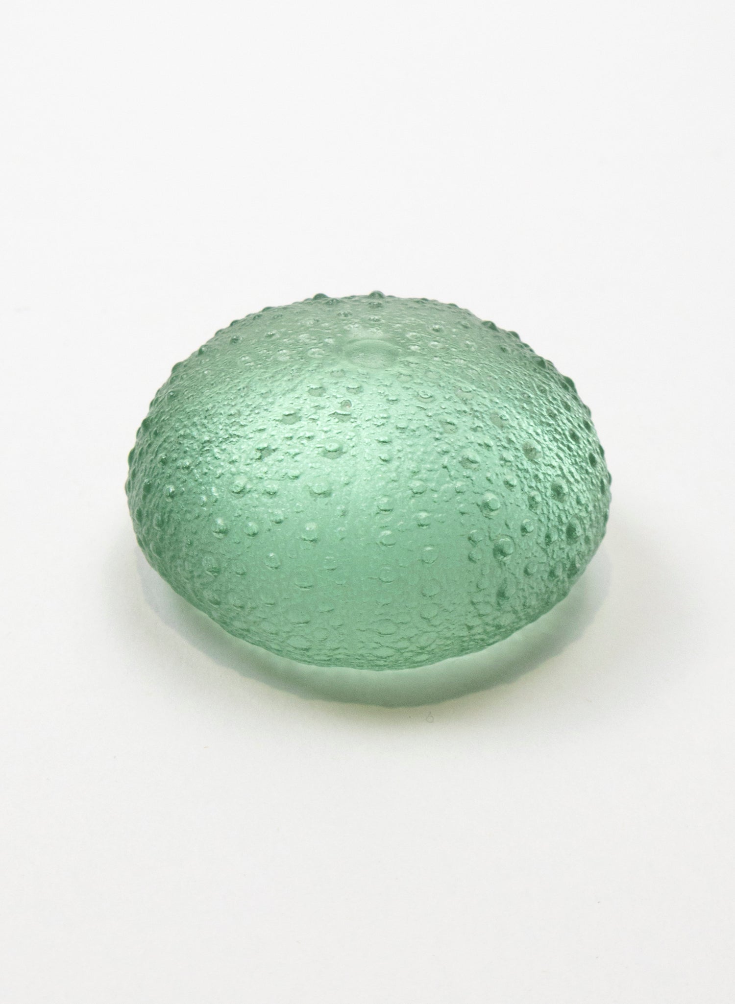 Medium Sea Urchin - Pale Jade