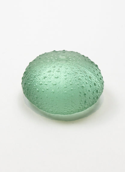 Medium Sea Urchin - Pale Jade