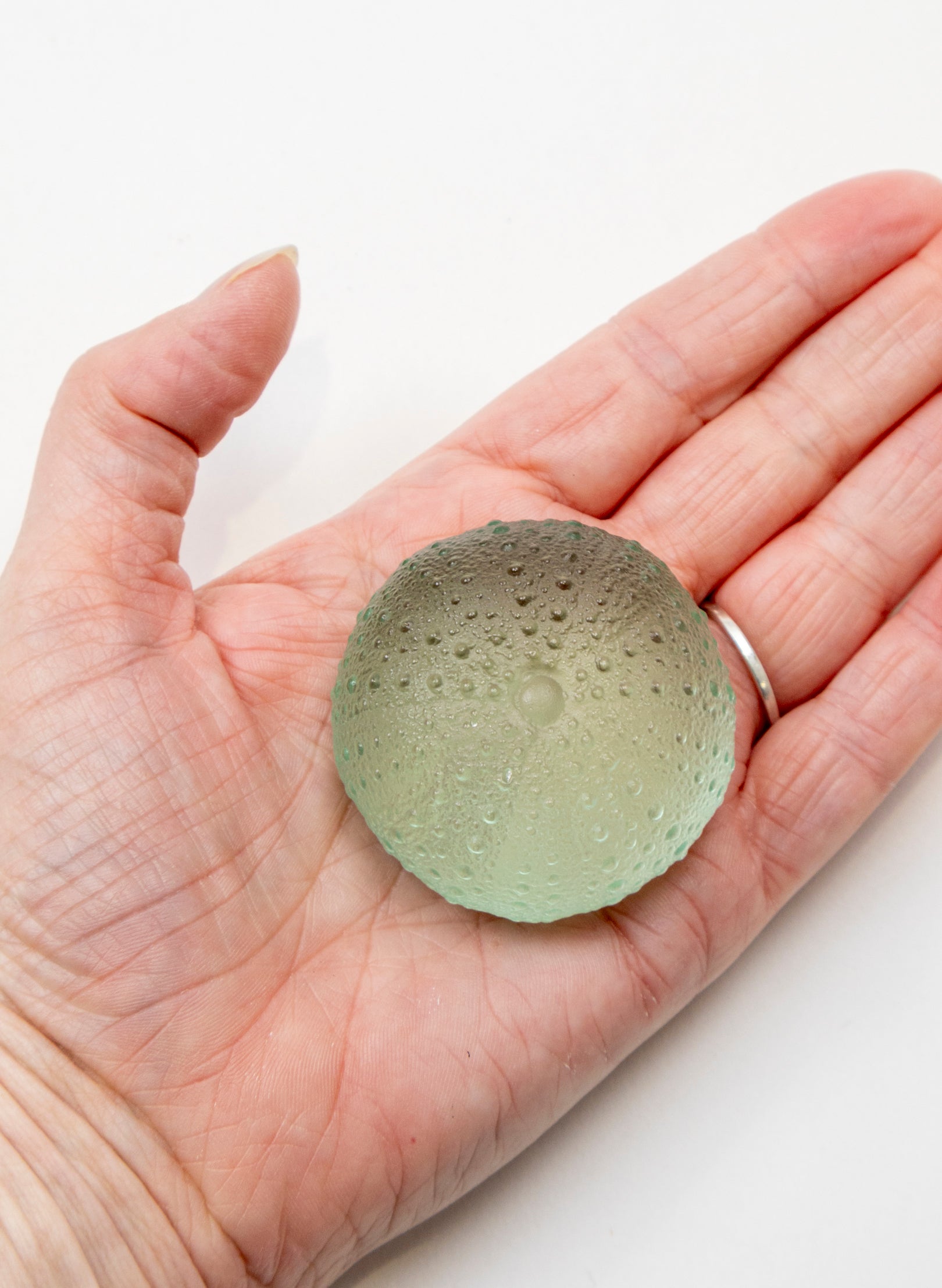 Medium Sea Urchin - Pale Jade
