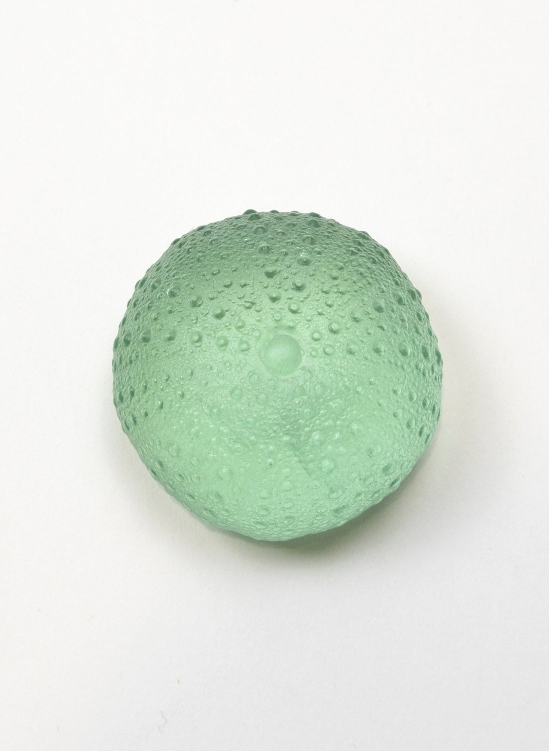 Large Sea Urchin - Pale Jade
