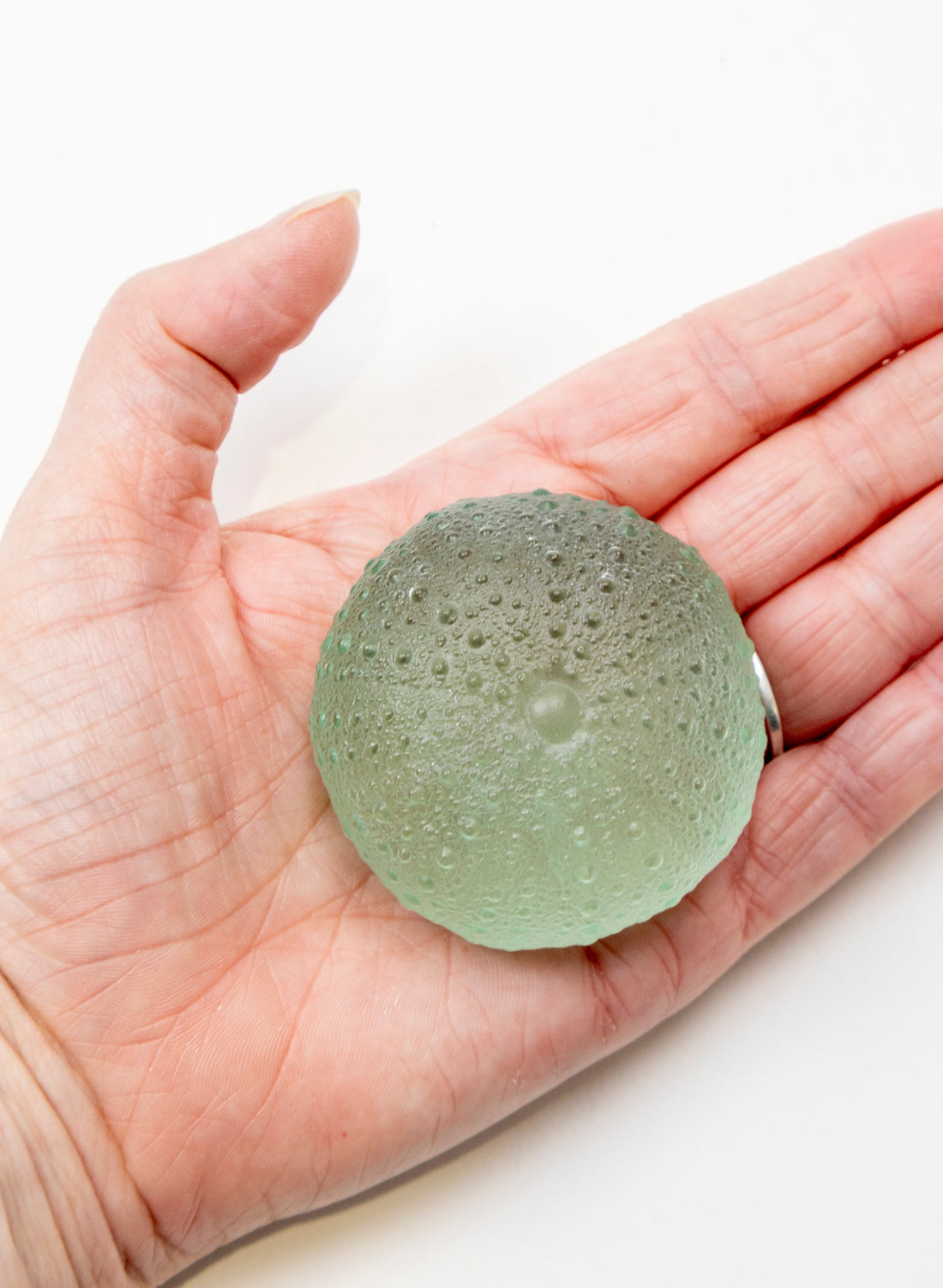 Large Sea Urchin - Pale Jade