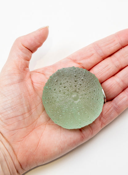 Large Sea Urchin - Pale Jade