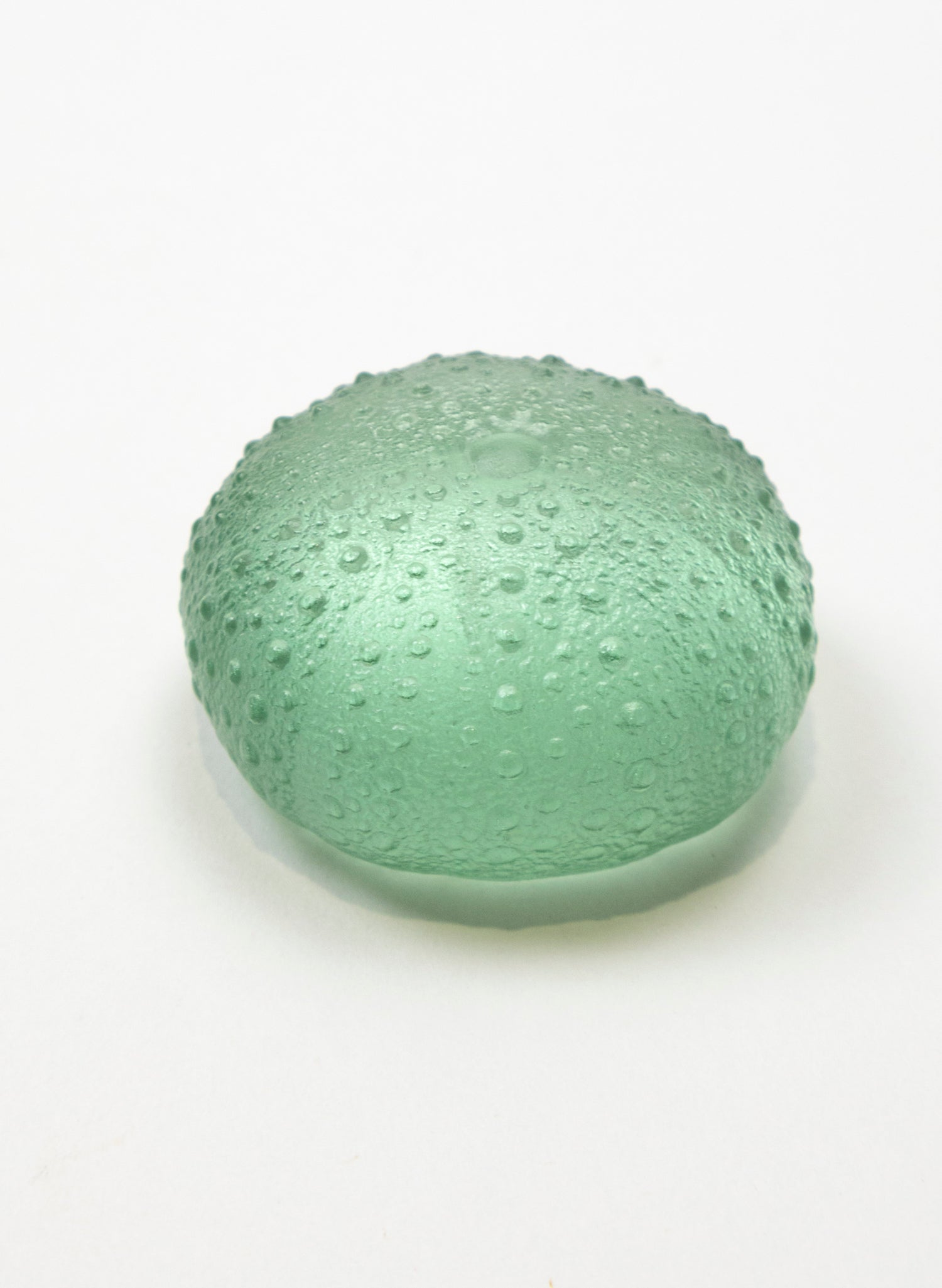 Large Sea Urchin - Pale Jade
