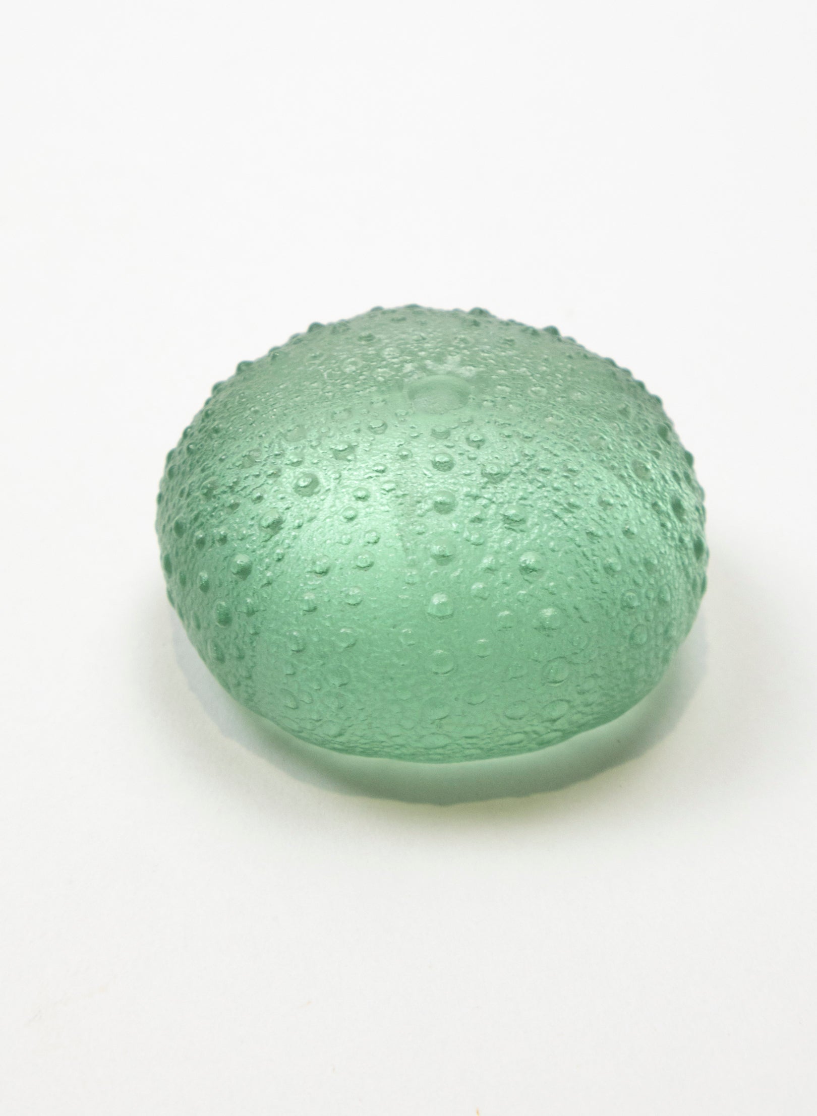 Large Sea Urchin - Pale Jade