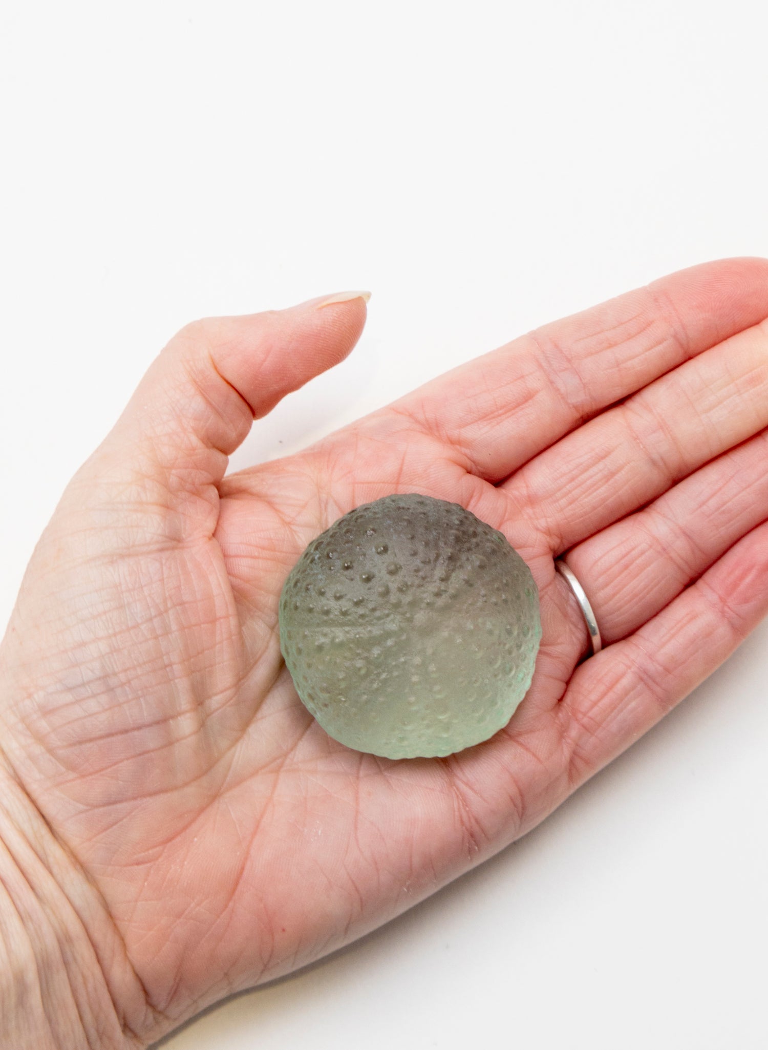 Small Sea Urchin - Pale Jade