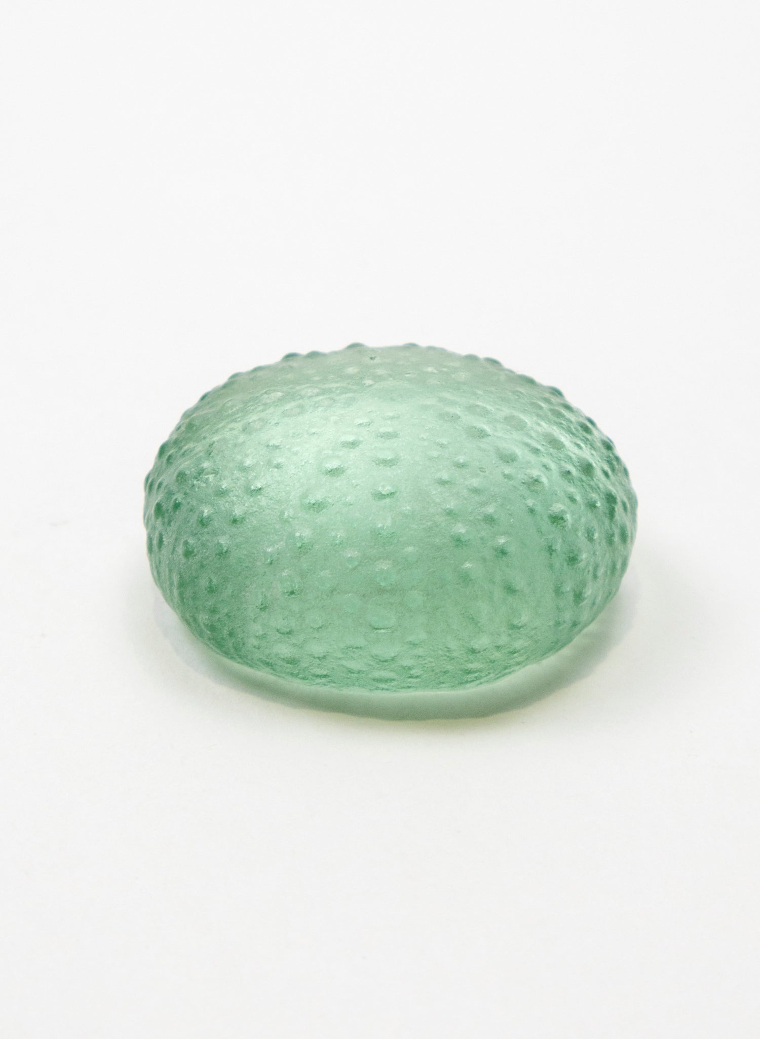 Small Sea Urchin - Pale Jade