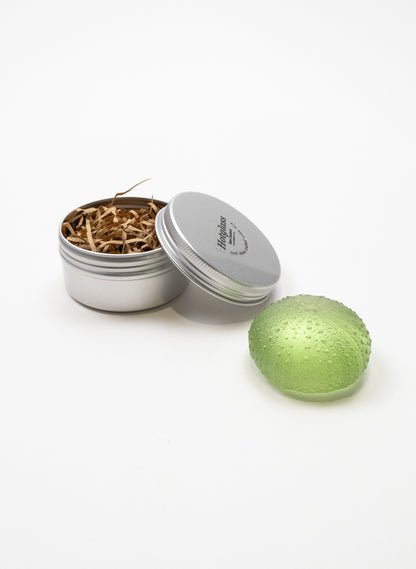 Large Sea Urchin - Pale Olive
