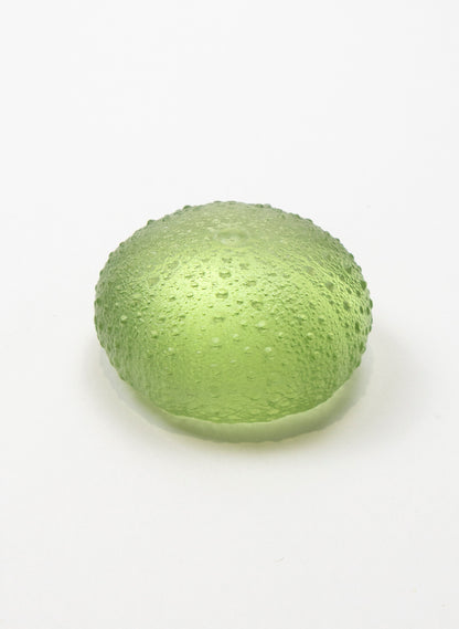 Large Sea Urchin - Pale Olive