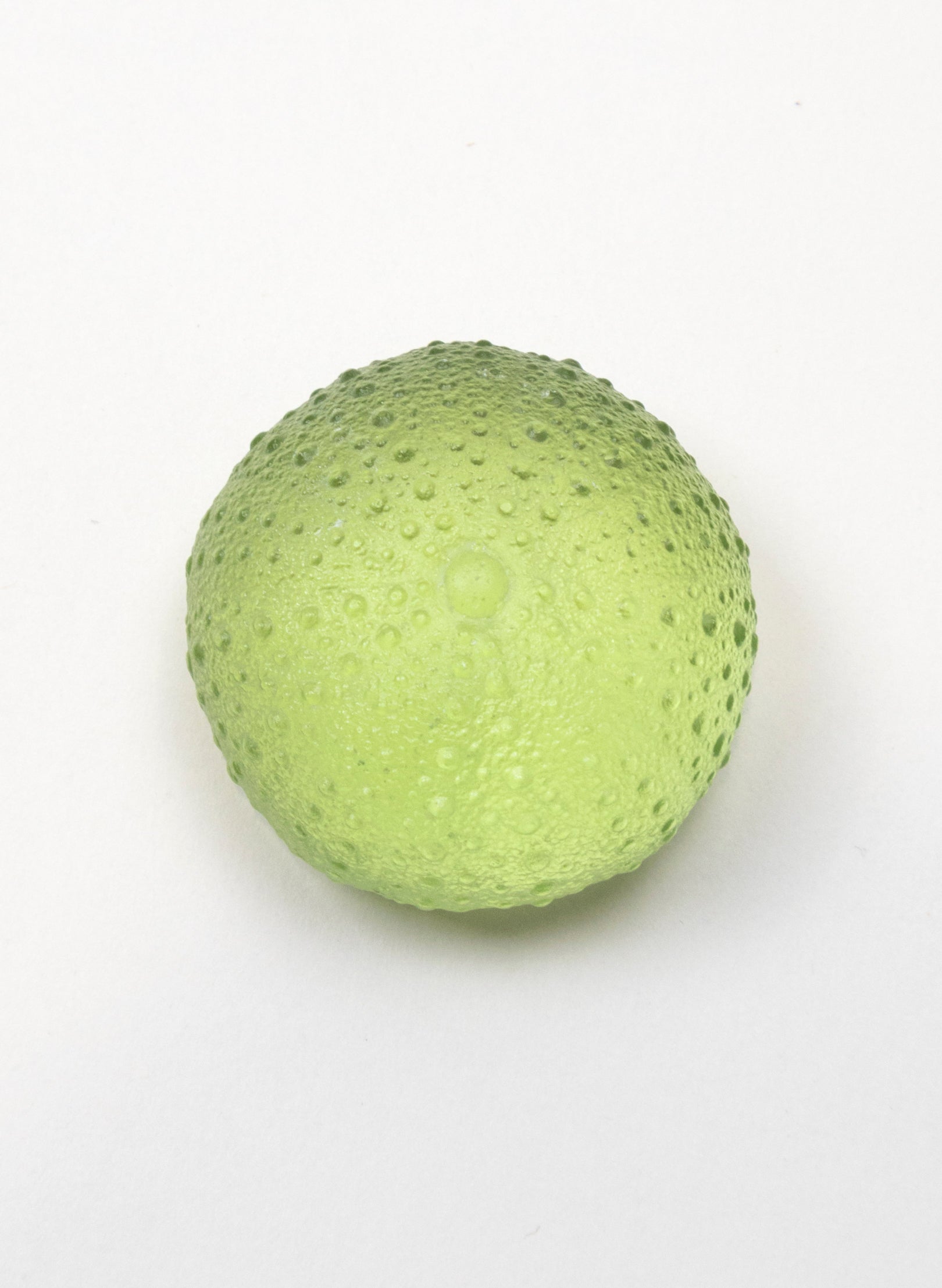 Large Sea Urchin - Pale Olive