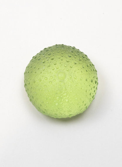 Large Sea Urchin - Pale Olive
