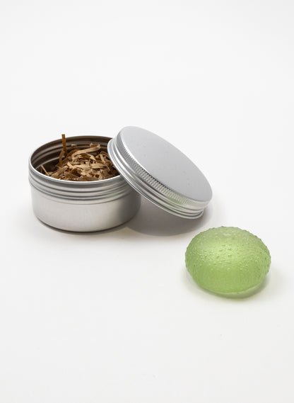 Small Sea Urchin - Pale Olive