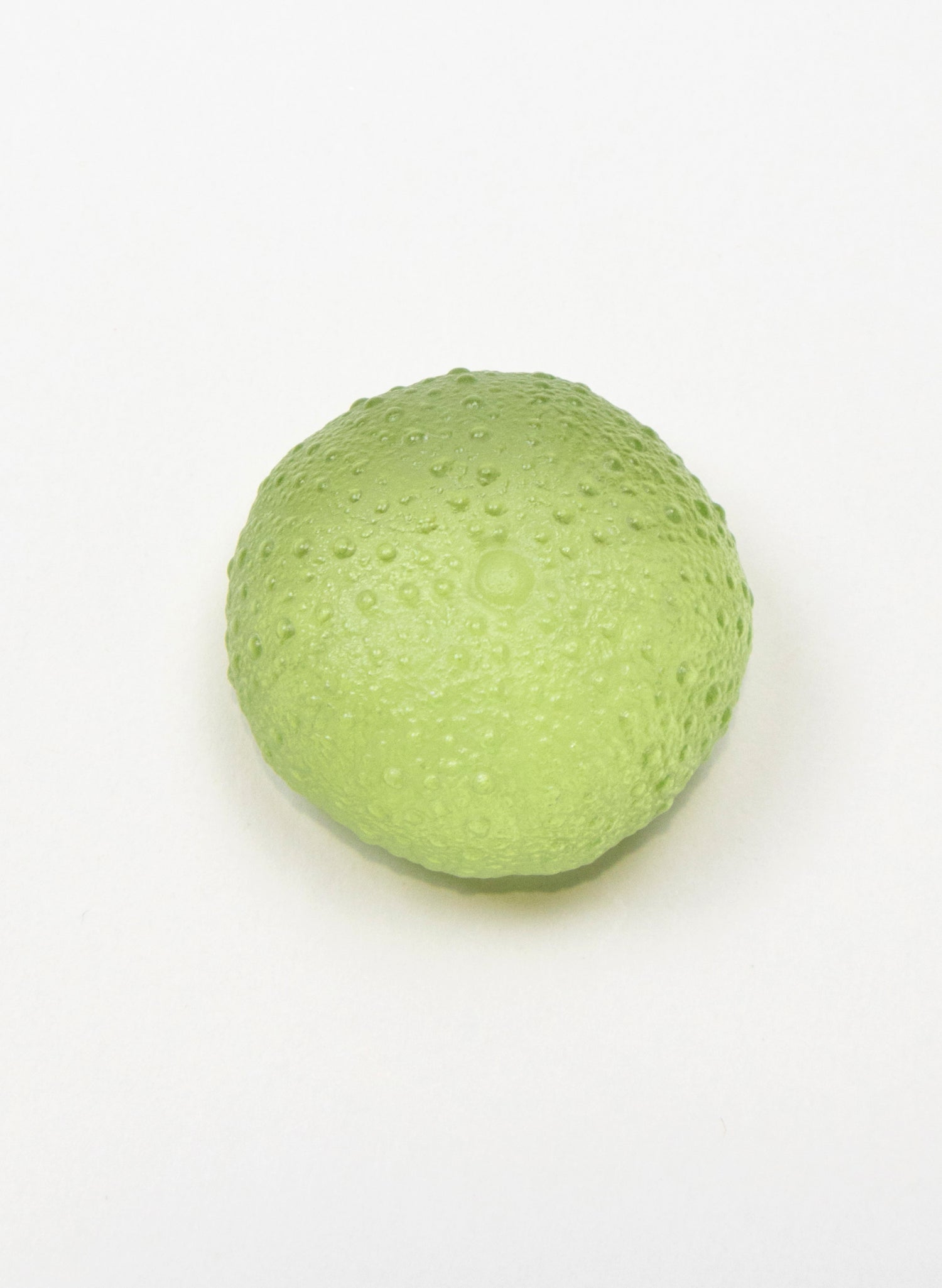 Small Sea Urchin - Pale Olive