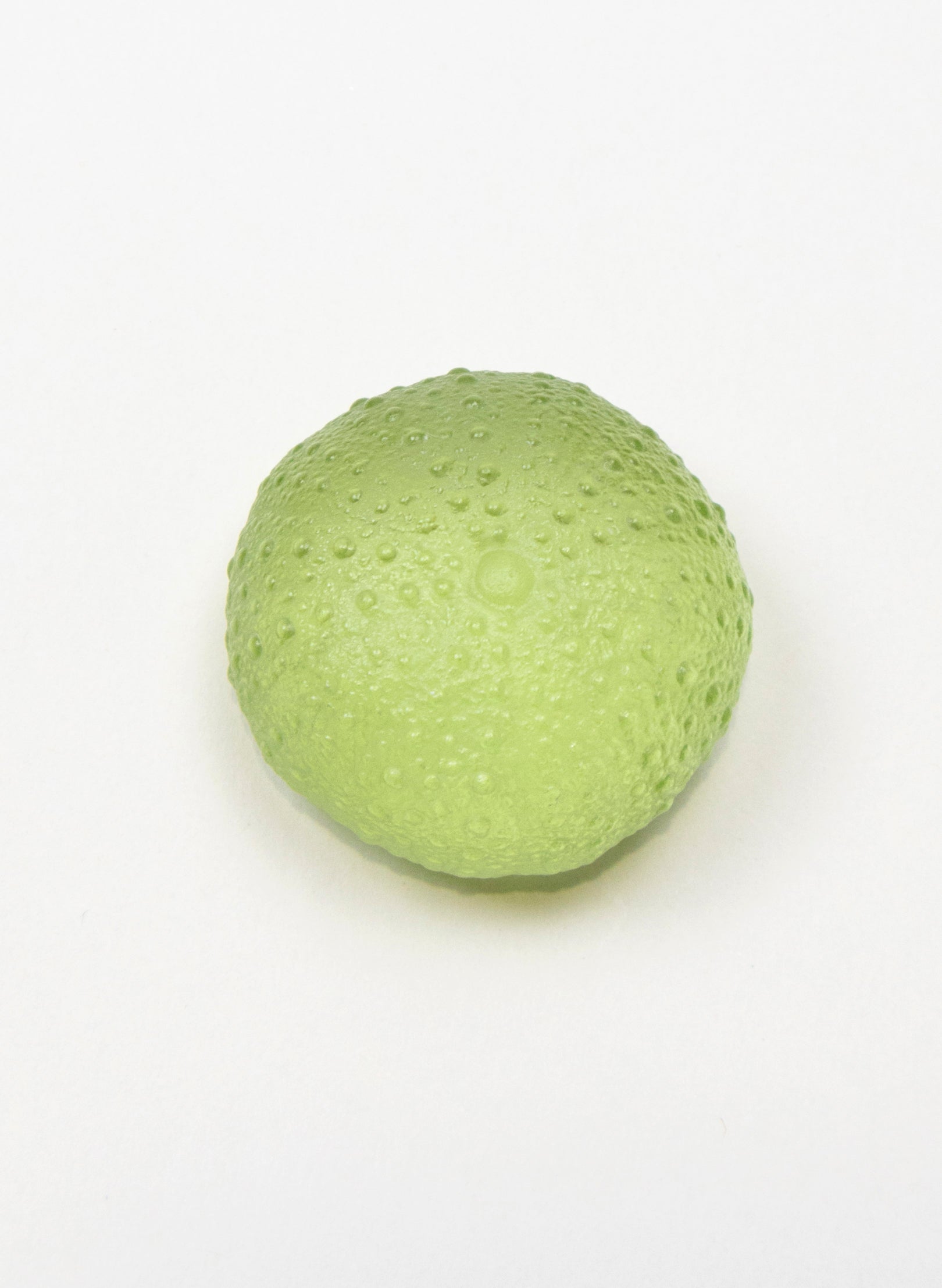 Small Sea Urchin - Pale Olive