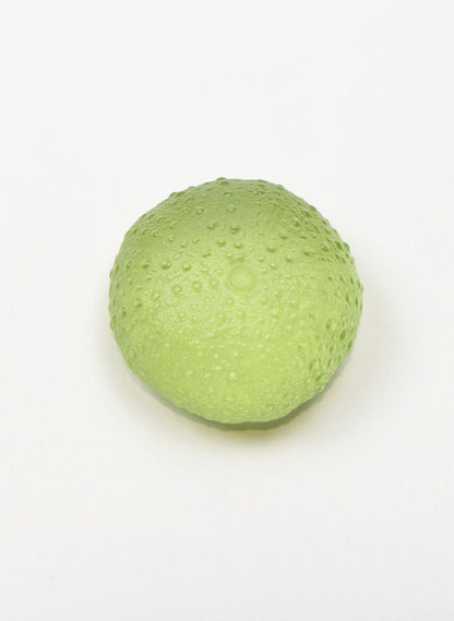 Small Sea Urchin - Pale Olive