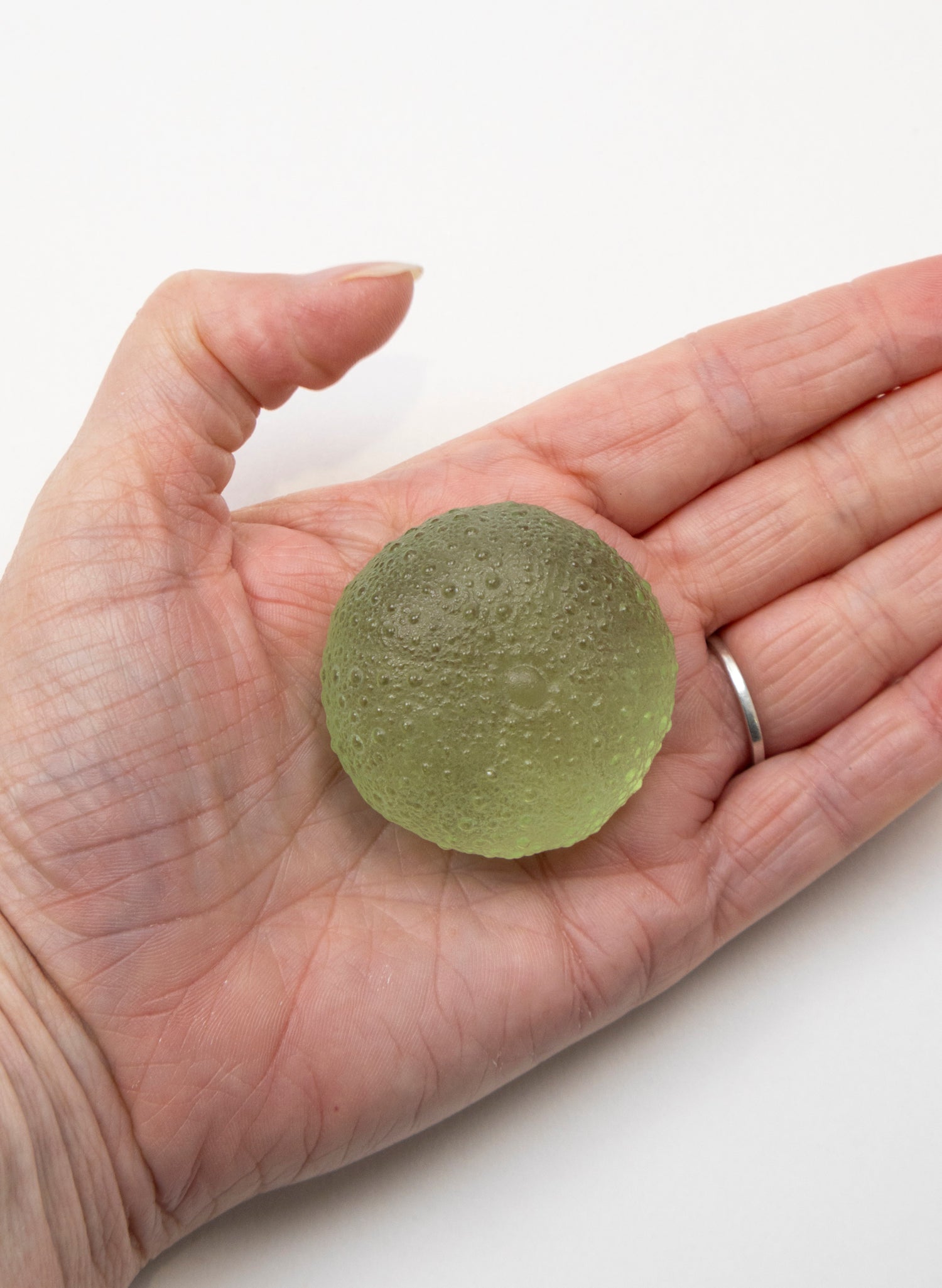 Small Sea Urchin - Pale Olive