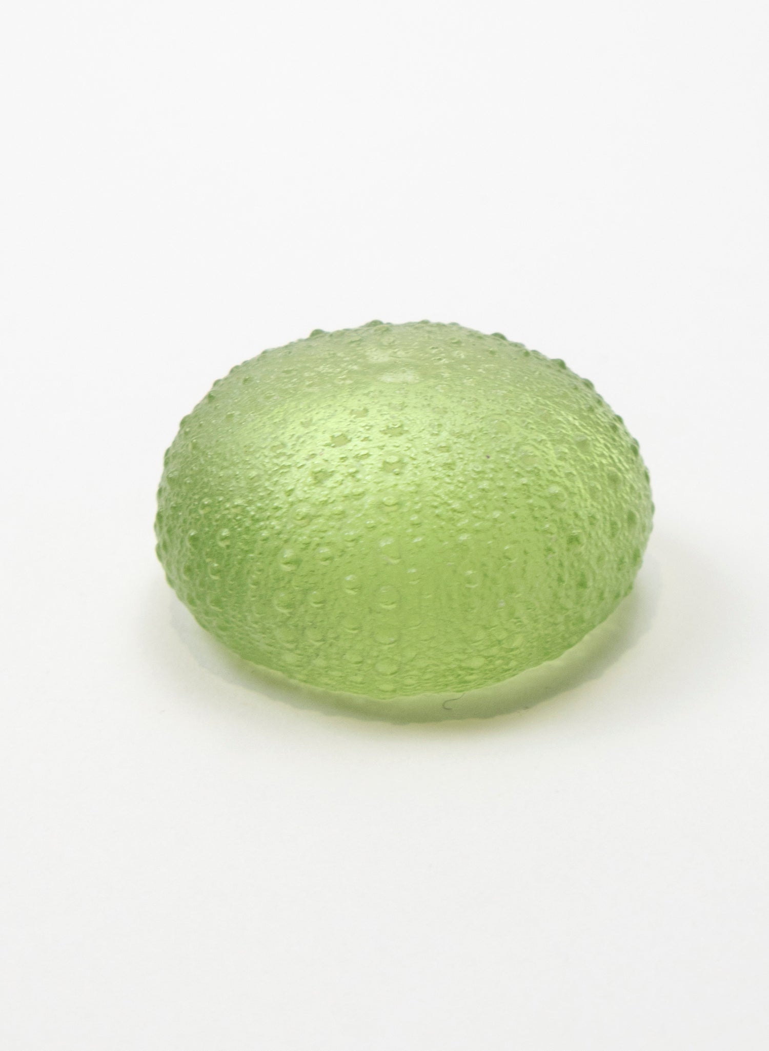 Medium Sea Urchin - Pale Olive