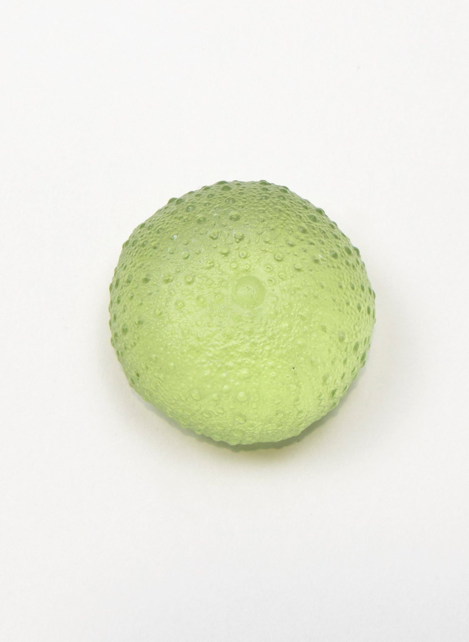 Medium Sea Urchin - Pale Olive