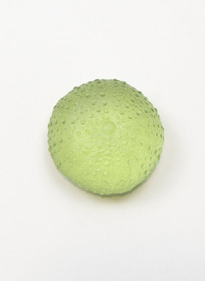 Medium Sea Urchin - Pale Olive