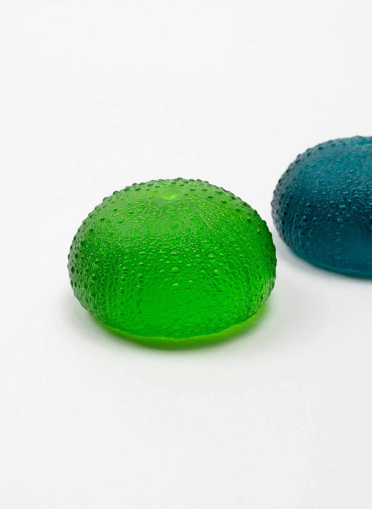 2XL Sea Urchin - Lime