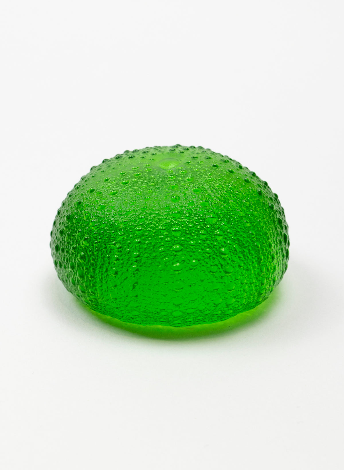 2XL Sea Urchin - Lime