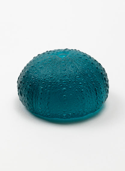 2XL Sea Urchin - Jade
