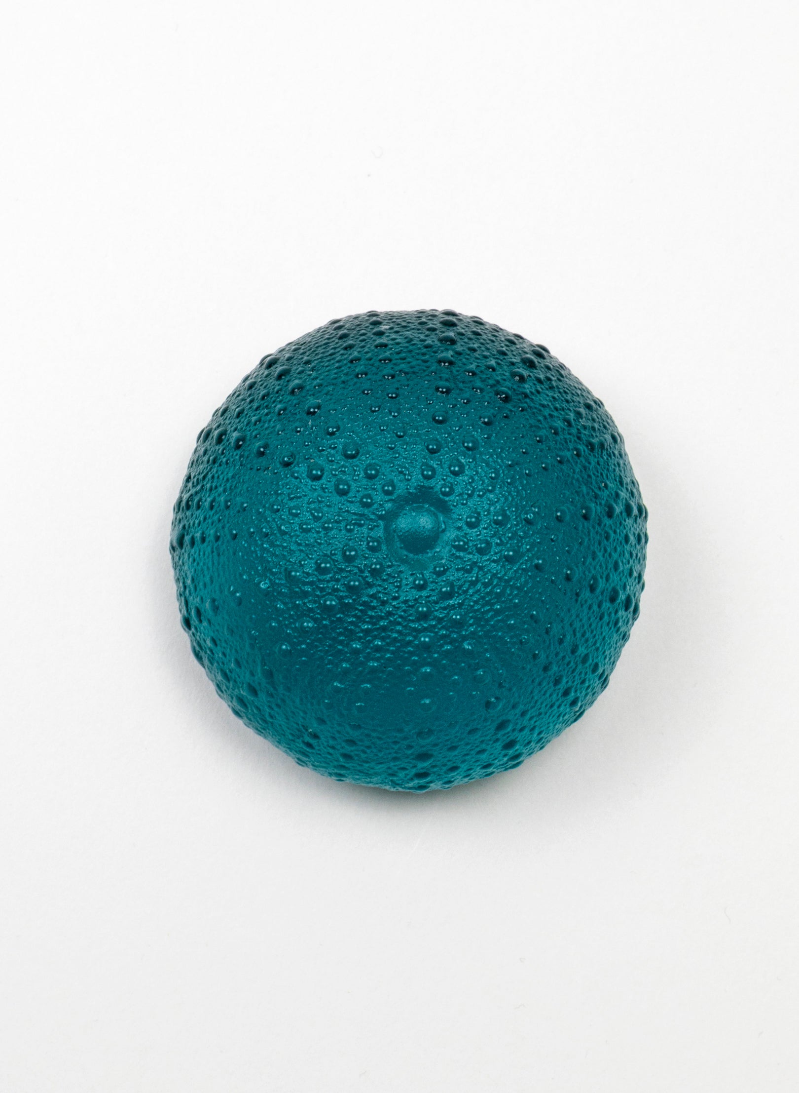 2XL Sea Urchin - Jade