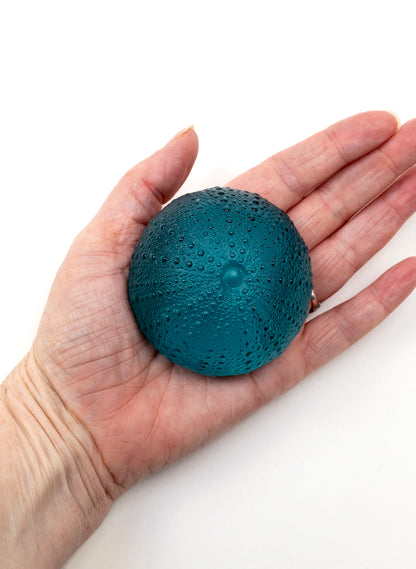 2XL Sea Urchin - Jade