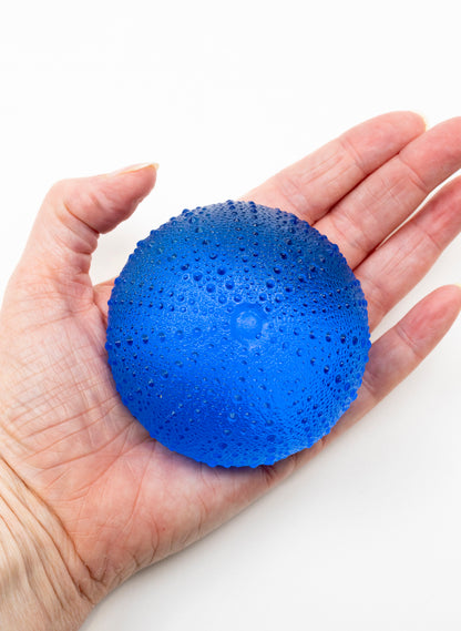 3XL Sea Urchin - Dark Aqua