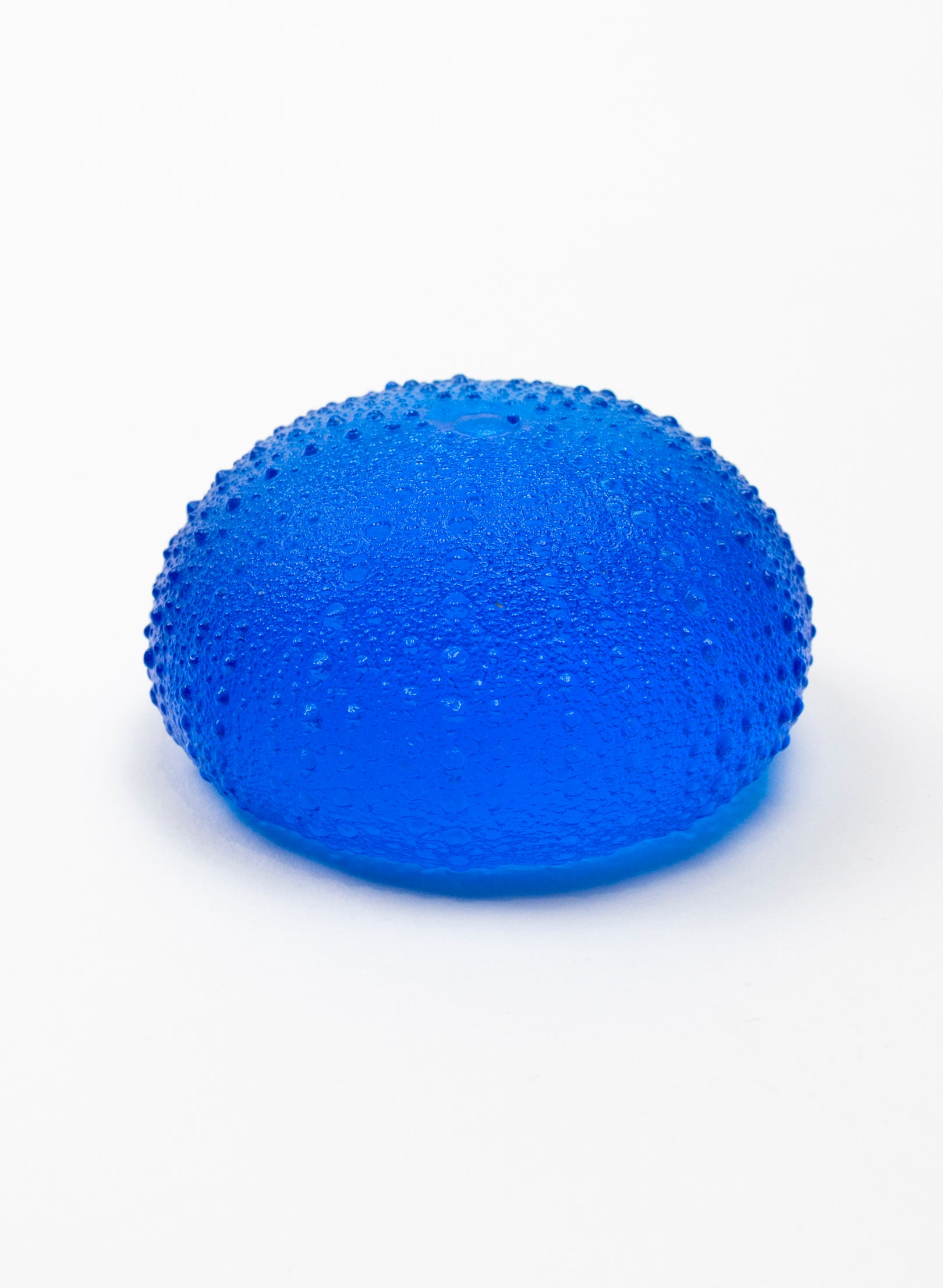 3XL Sea Urchin - Dark Aqua