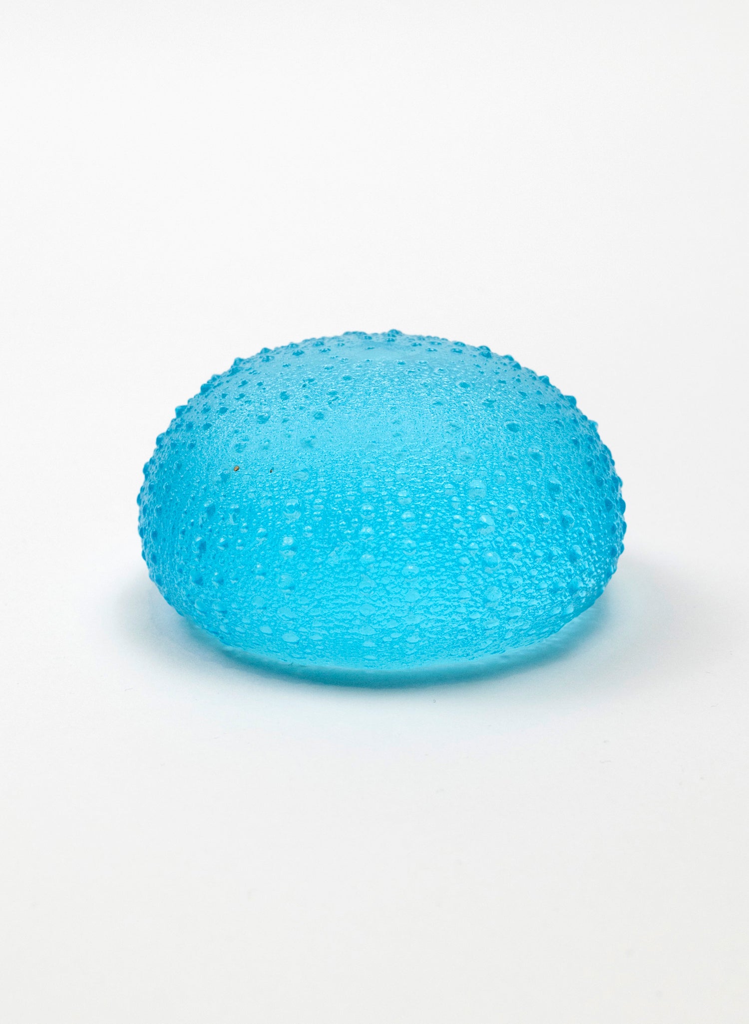 3XL Sea Urchin - Light Aqua