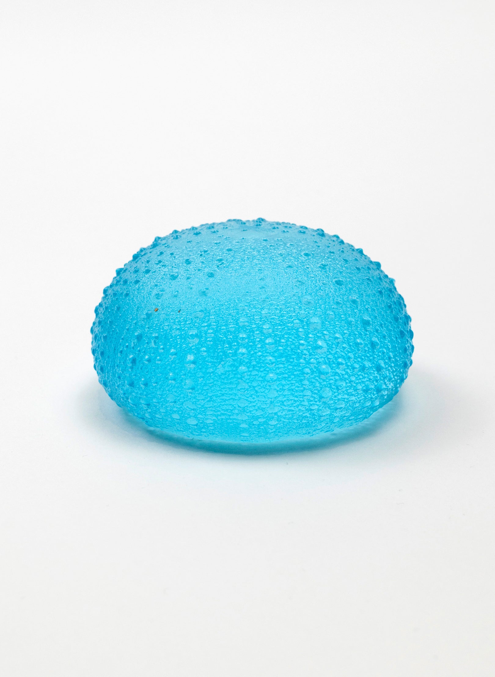 3XL Sea Urchin - Light Aqua