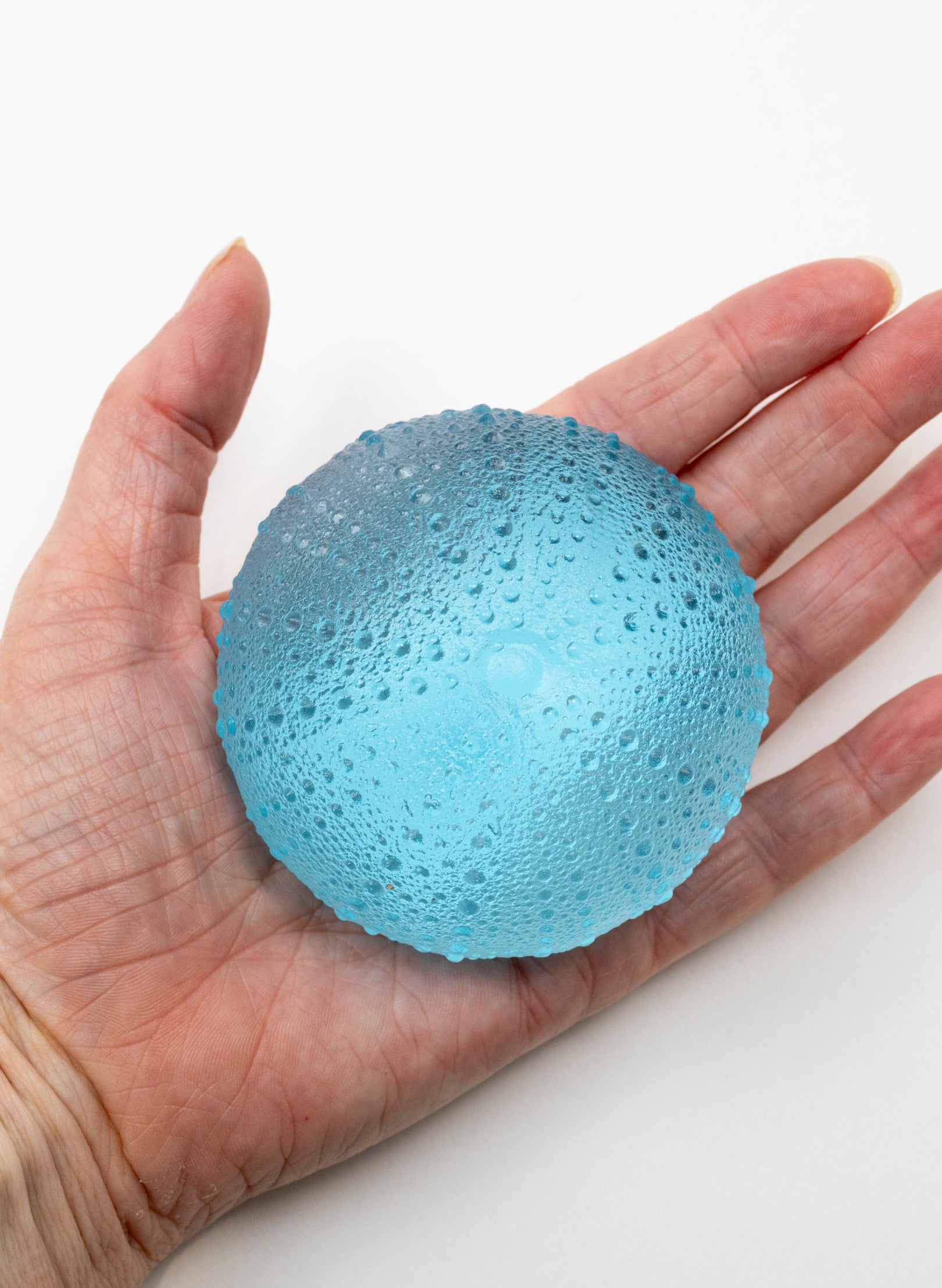 3XL Sea Urchin - Light Aqua