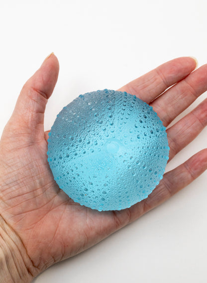3XL Sea Urchin - Light Aqua