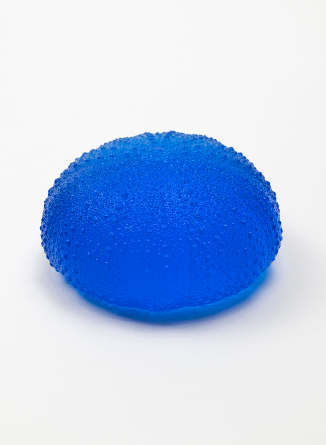 5XL Sea Urchin - Dark Aqua