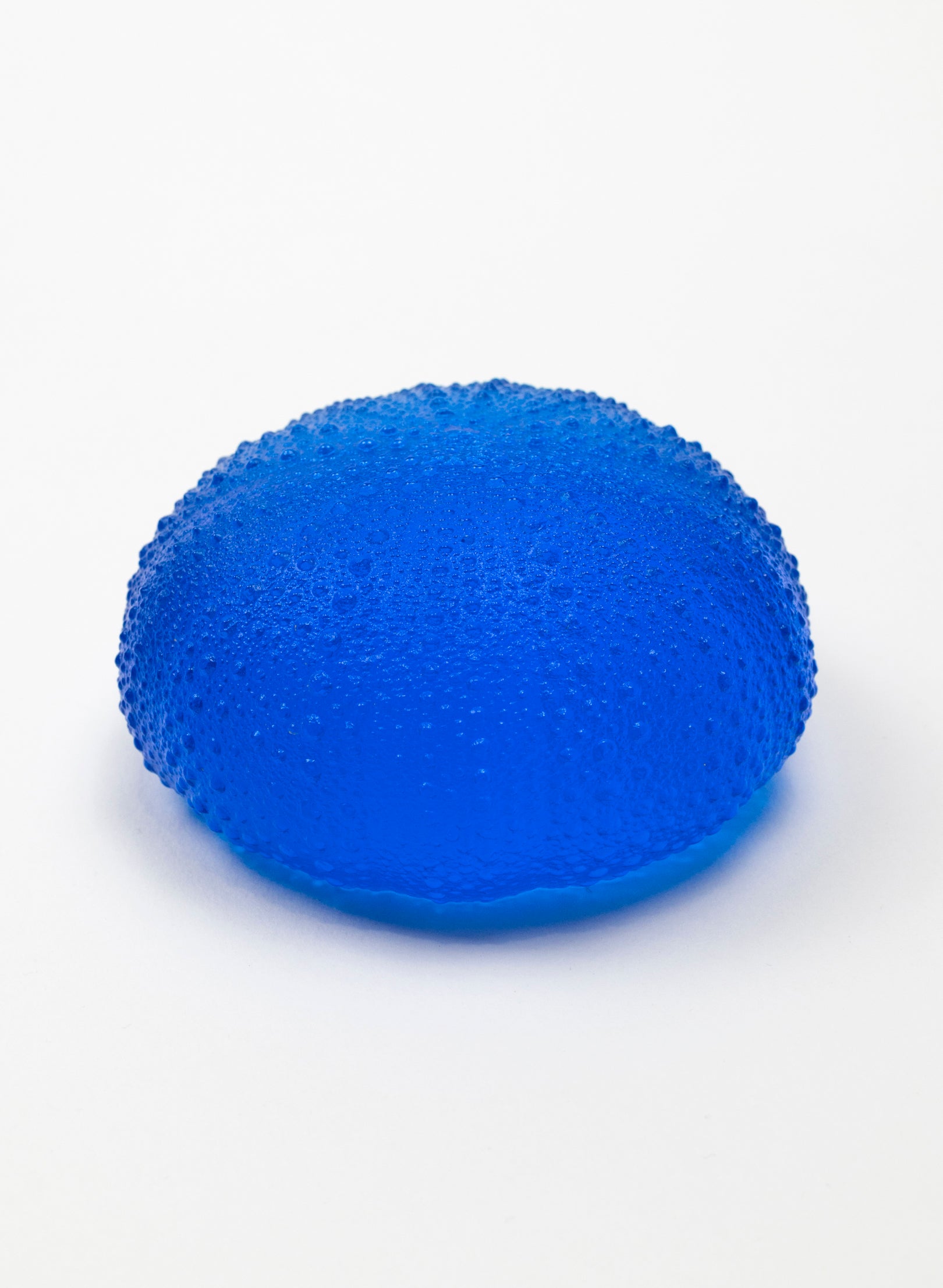 5XL Sea Urchin - Dark Aqua