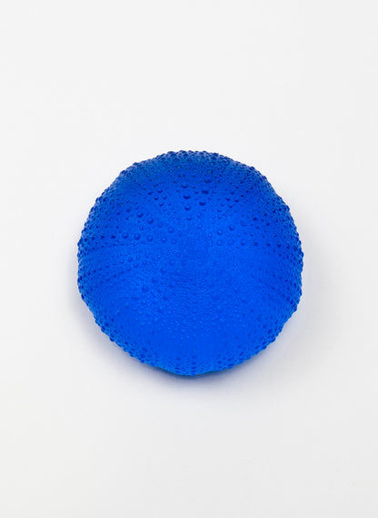 5XL Sea Urchin - Dark Aqua