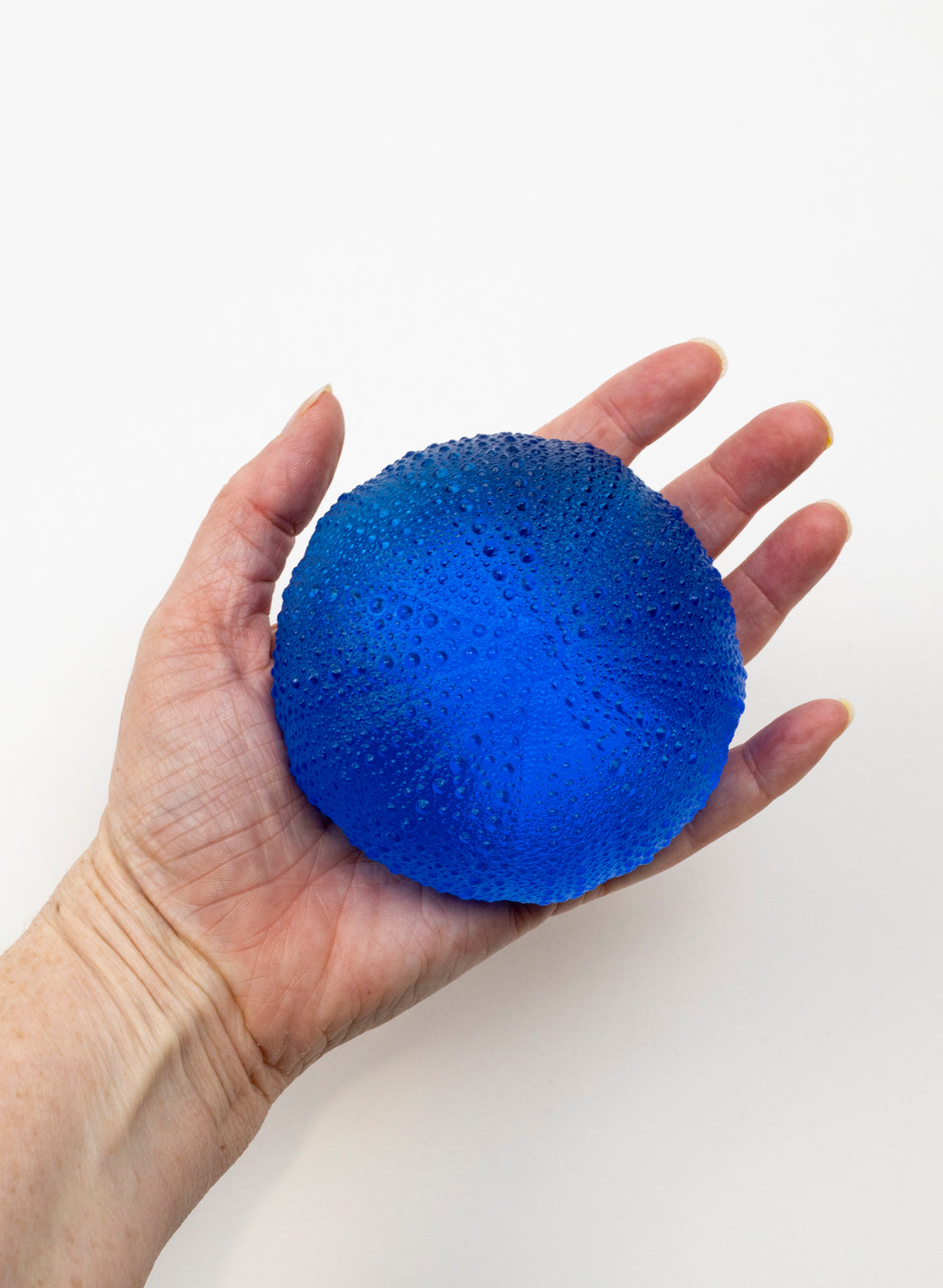 5XL Sea Urchin - Dark Aqua