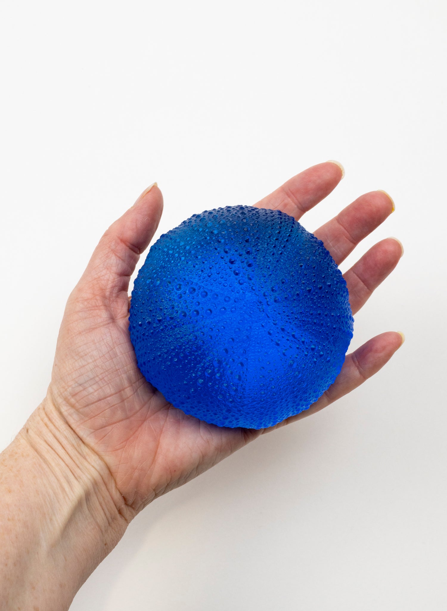 5XL Sea Urchin - Dark Aqua