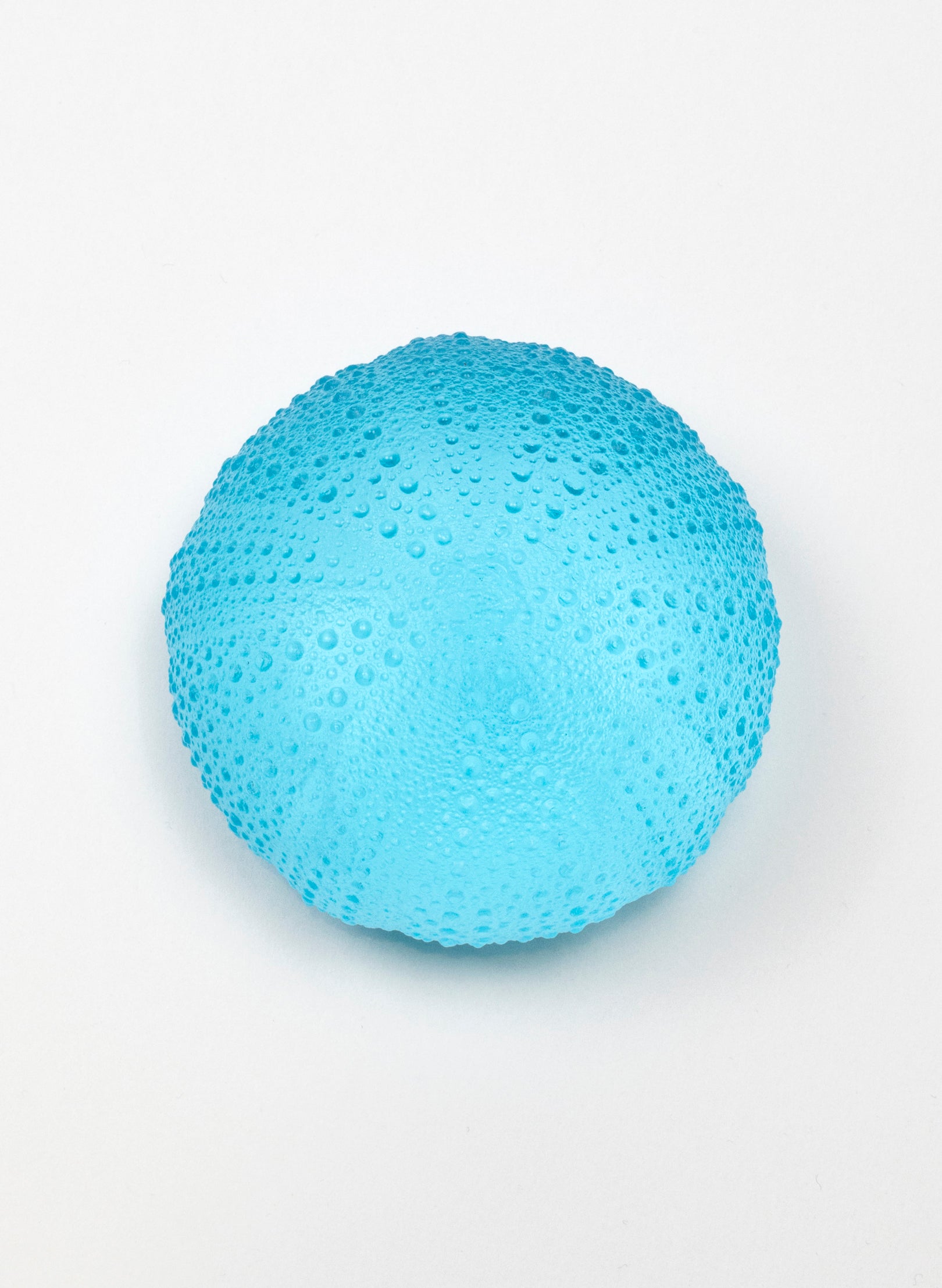 5XL Sea Urchin - Light Aqua